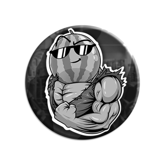 Team Melone Fitness GRAY Schlüsselanhänger Schlaufe grau/weiß