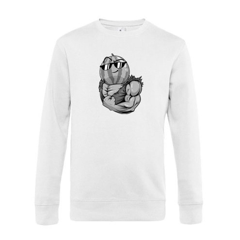 Team Melone Fitness GRAY Premium Sweater