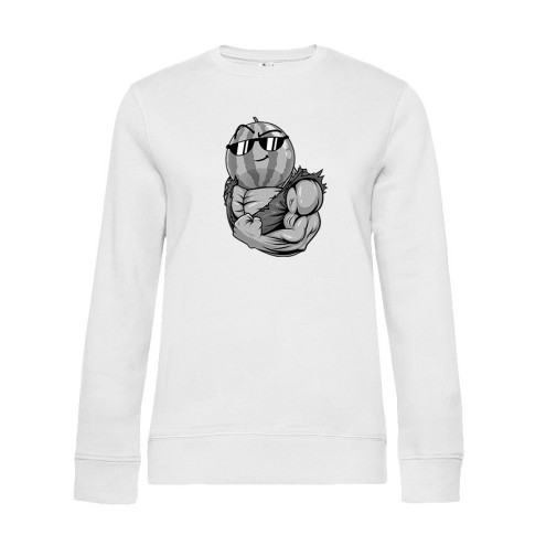 Team Melone Fitness GRAY Premium Sweater women